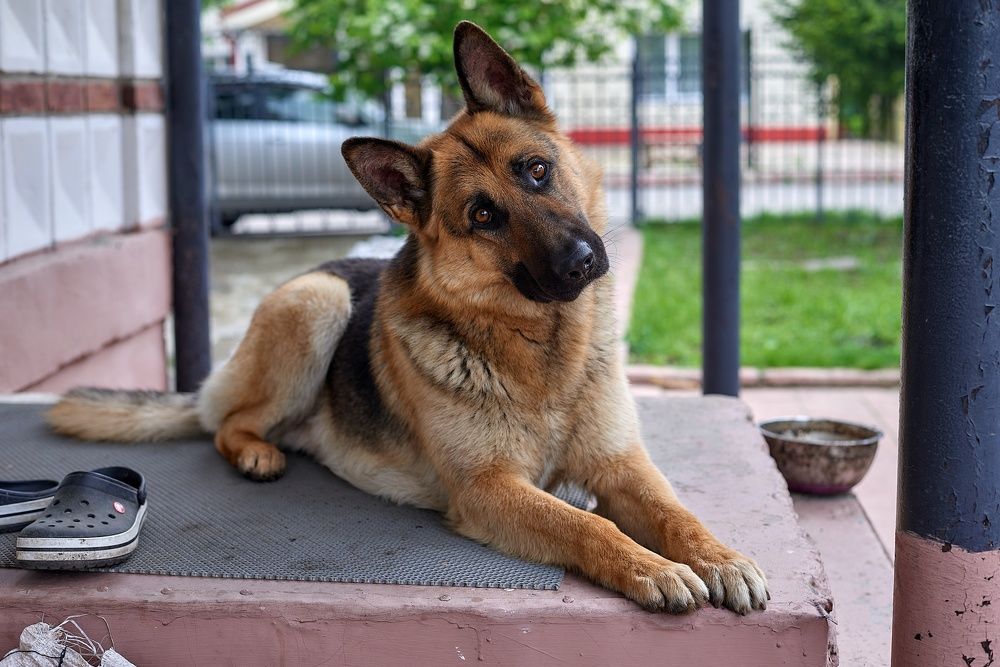 Photograph by Андрей Коротецкий