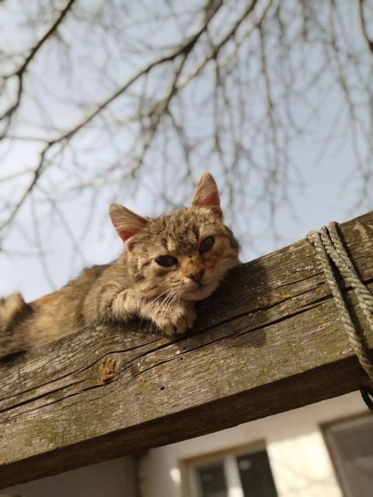 Photograph by Анна Степанова