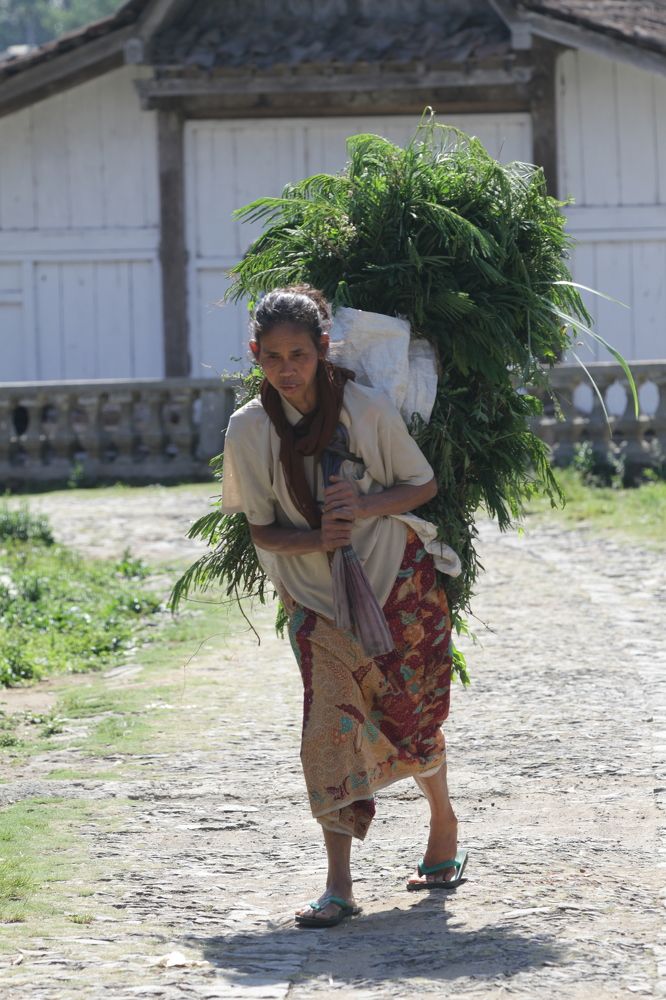 Photograph by Ages ragil