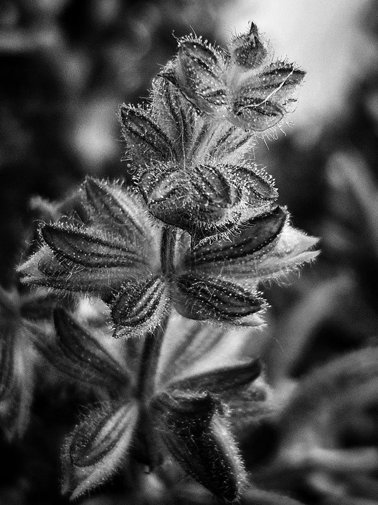 Photograph by Ольга Мандрыкина