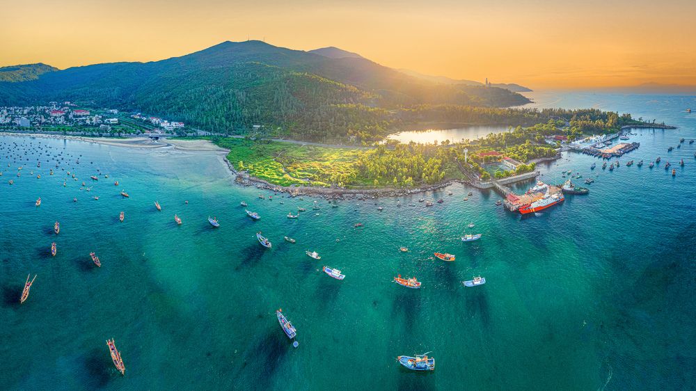 Фотография автора Pham Quynh Nga