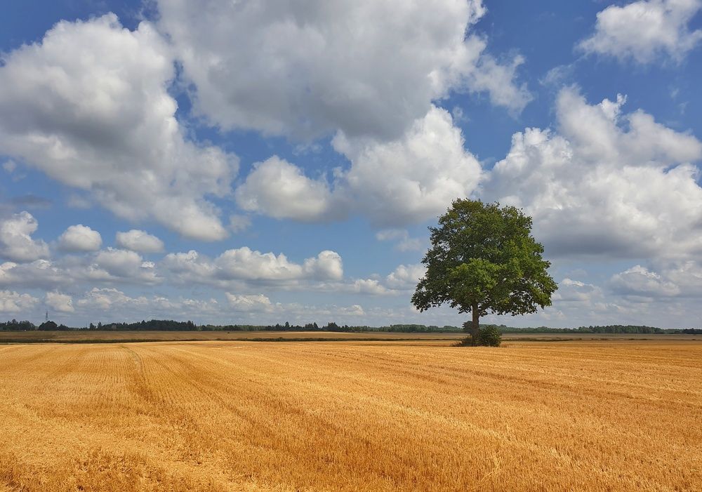 Photograph by Васька Свищ