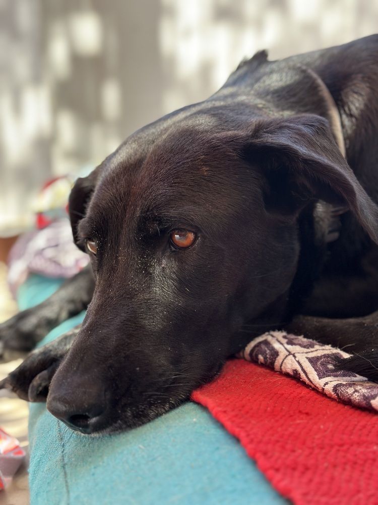 Photograph by Мария Берёзка