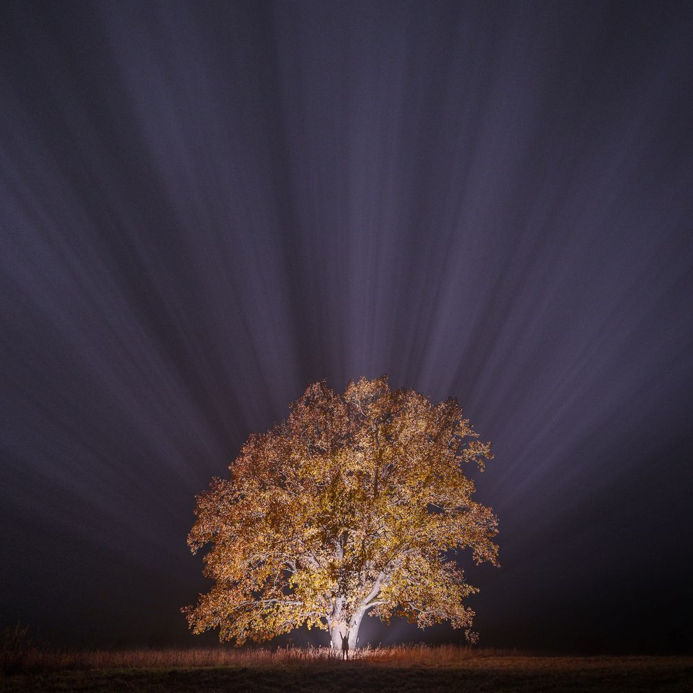 Photograph by Andrew Kuprin