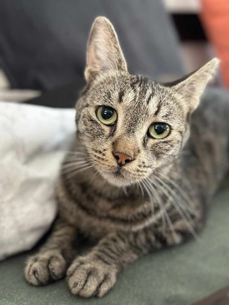 Photograph by Мария Берёзка