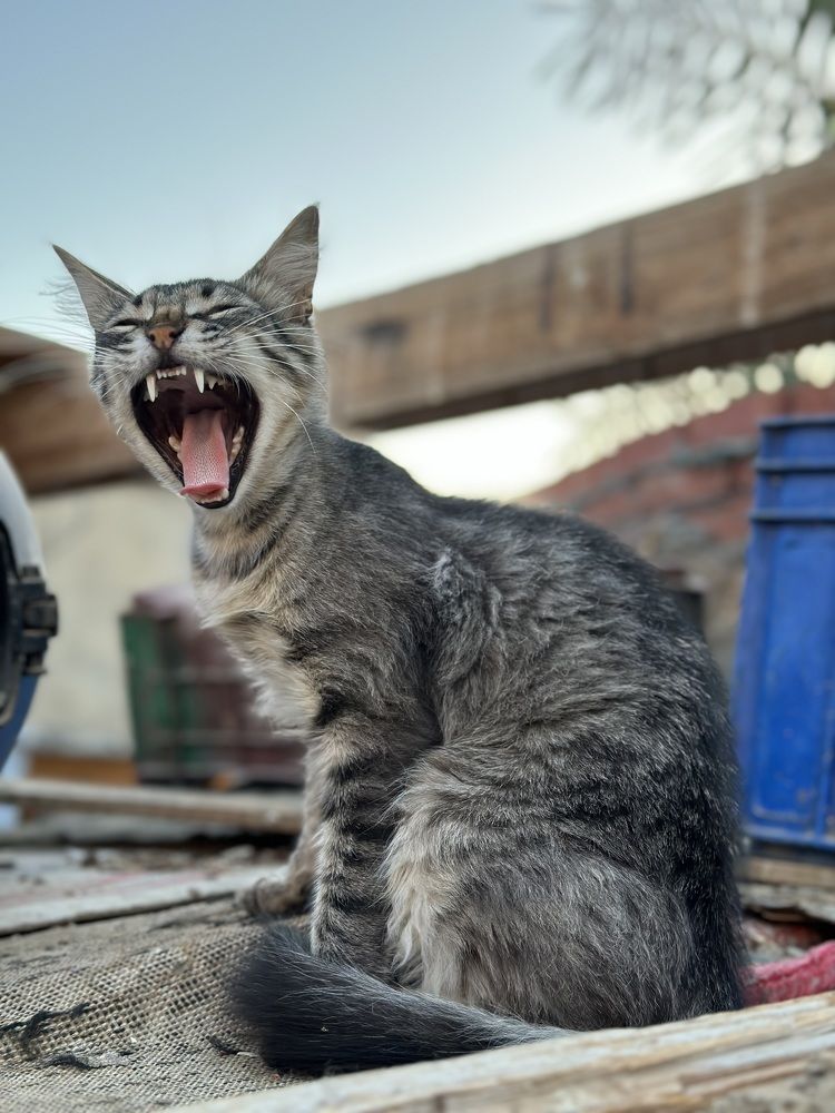 Photograph by Мария Берёзка