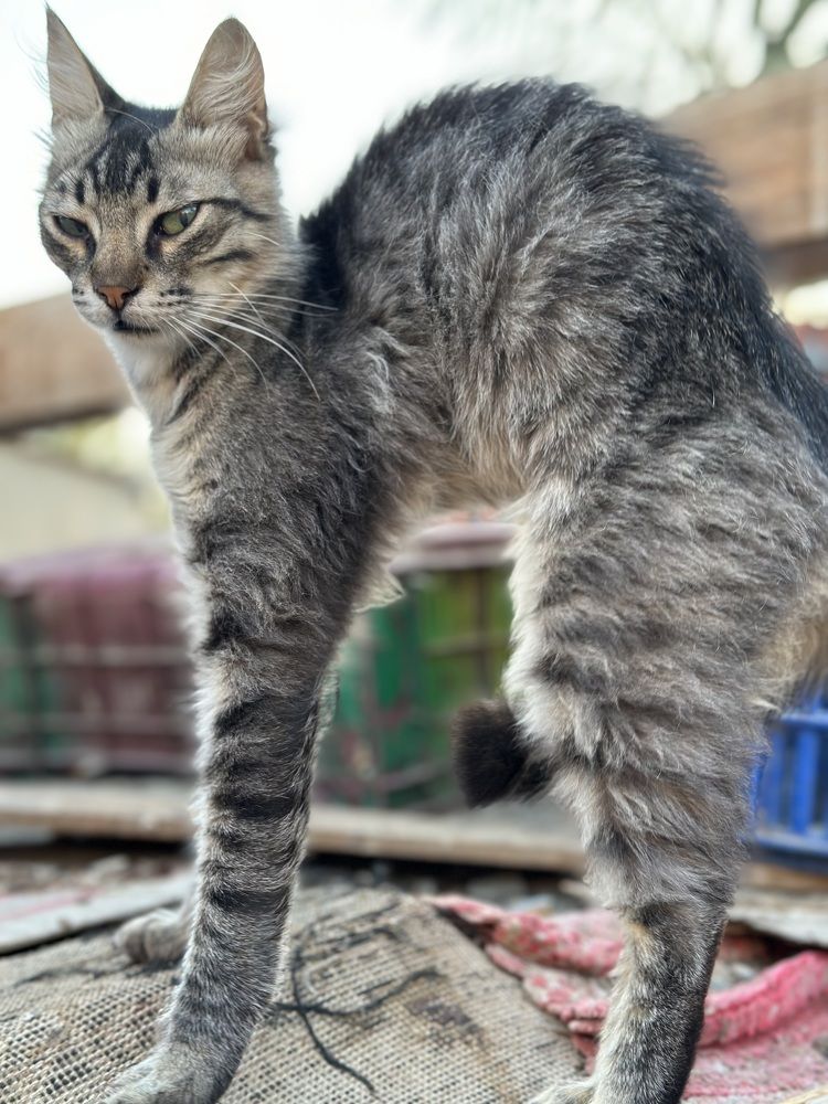 Photograph by Мария Берёзка