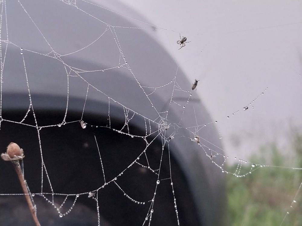 Photograph by Юлия Фирман