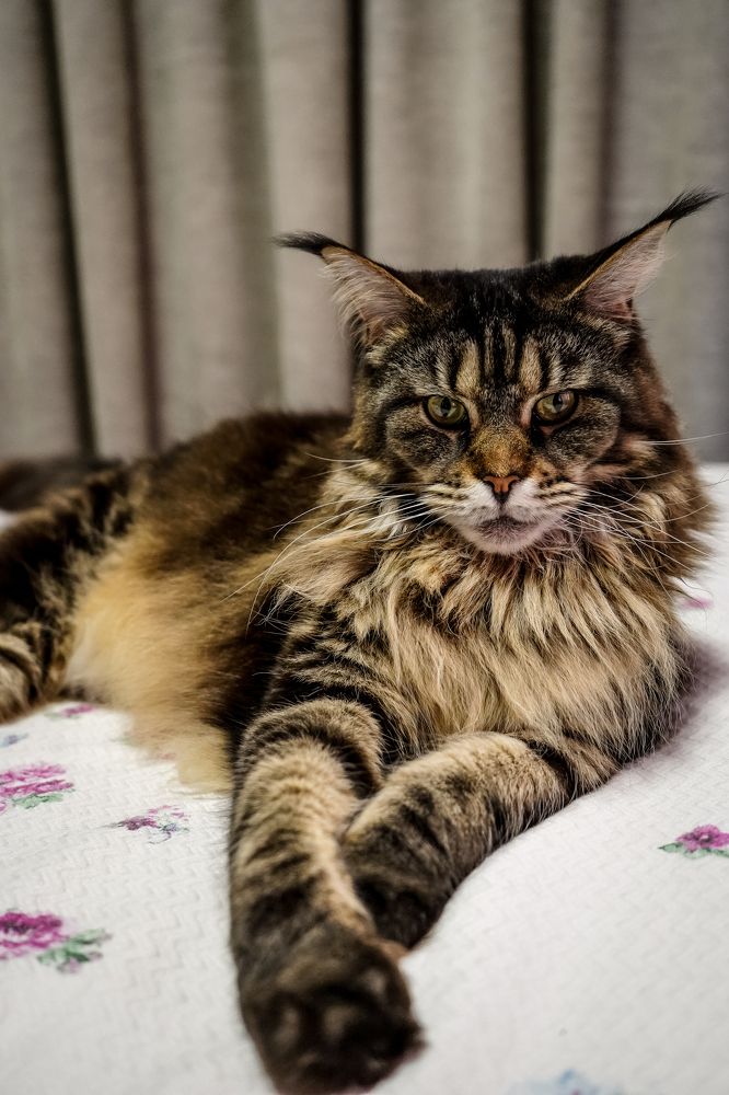 Photograph by Эльза Чанба