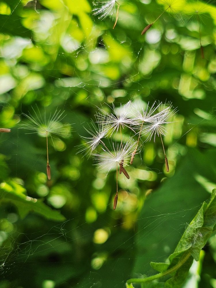 Photograph by Ольга Веселова