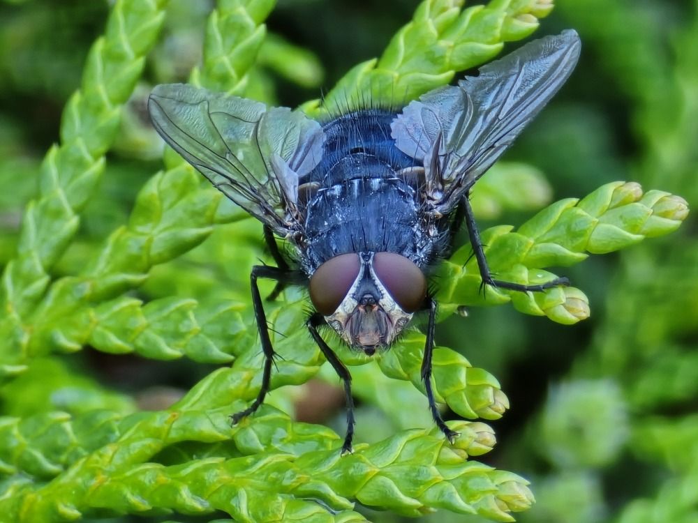 Photograph by Żółtowska Karolina