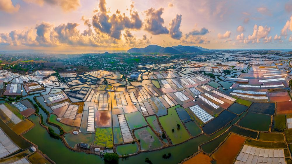 Фотография автора Pham Quynh Nga