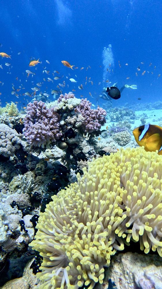 Photograph by Мария Берёзка