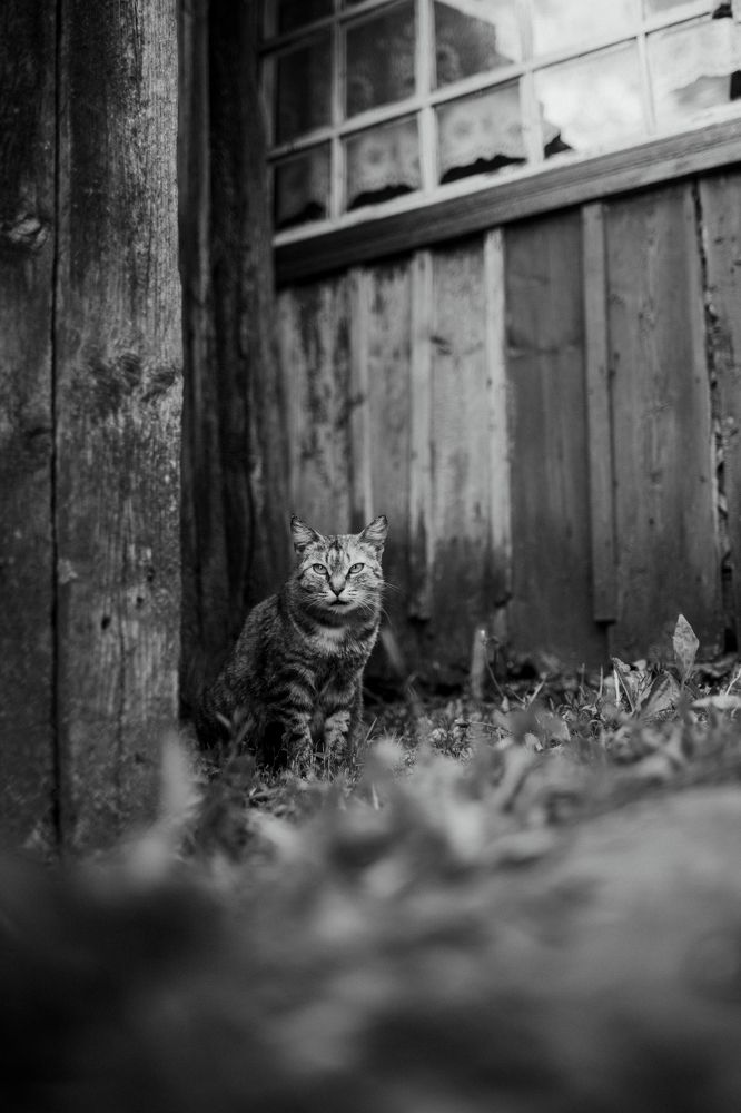 Photograph by Елена Копылова