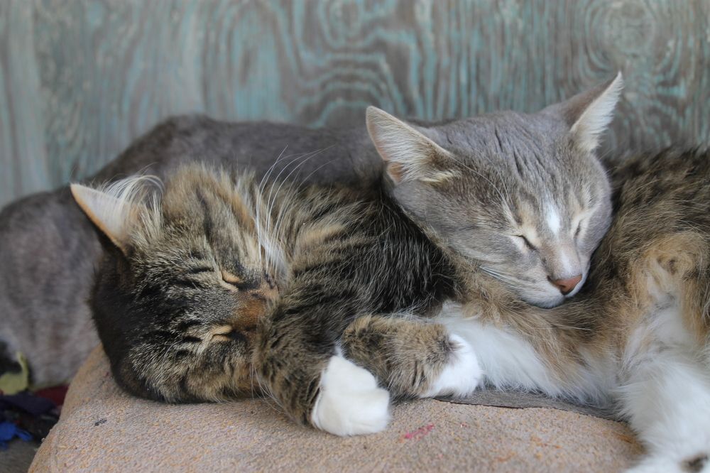 Photograph by Екатерина Хозяшева