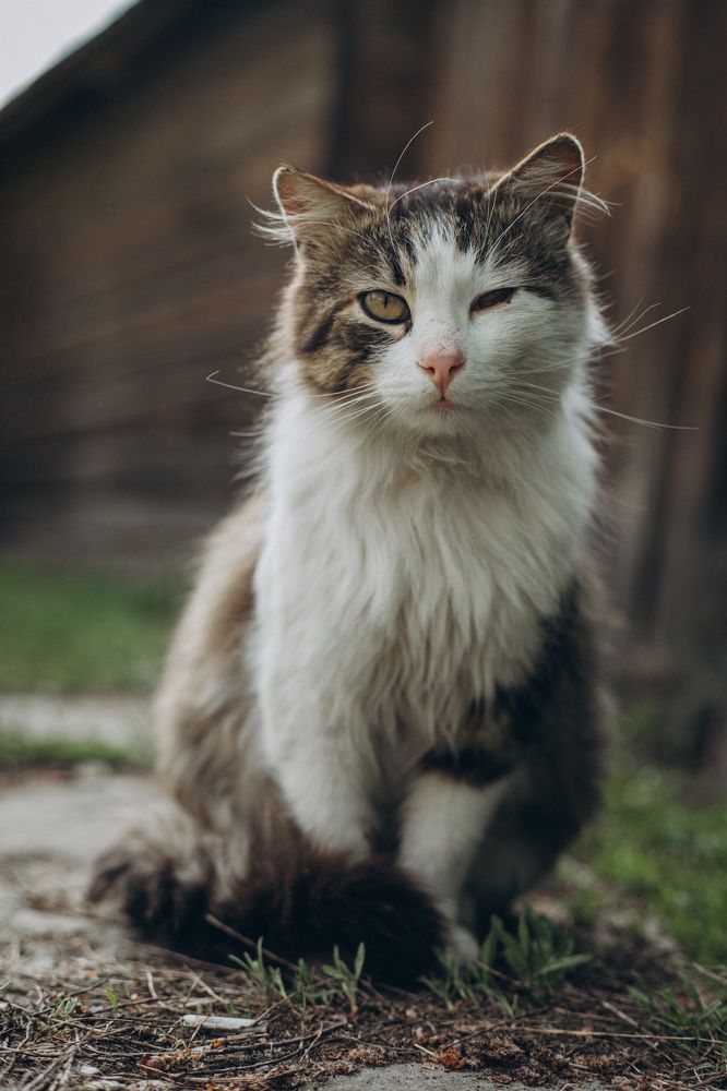 Photograph by Елена Копылова