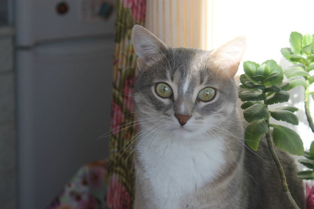 Photograph by Екатерина Хозяшева