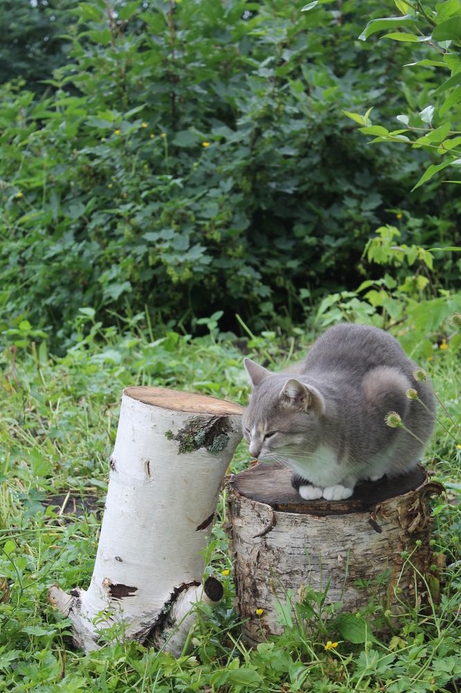 Photograph by Екатерина Хозяшева