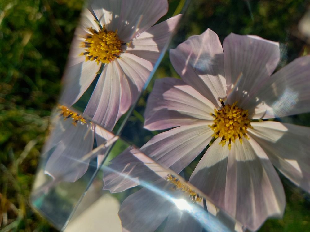 Photograph by Екатерина Хозяшева