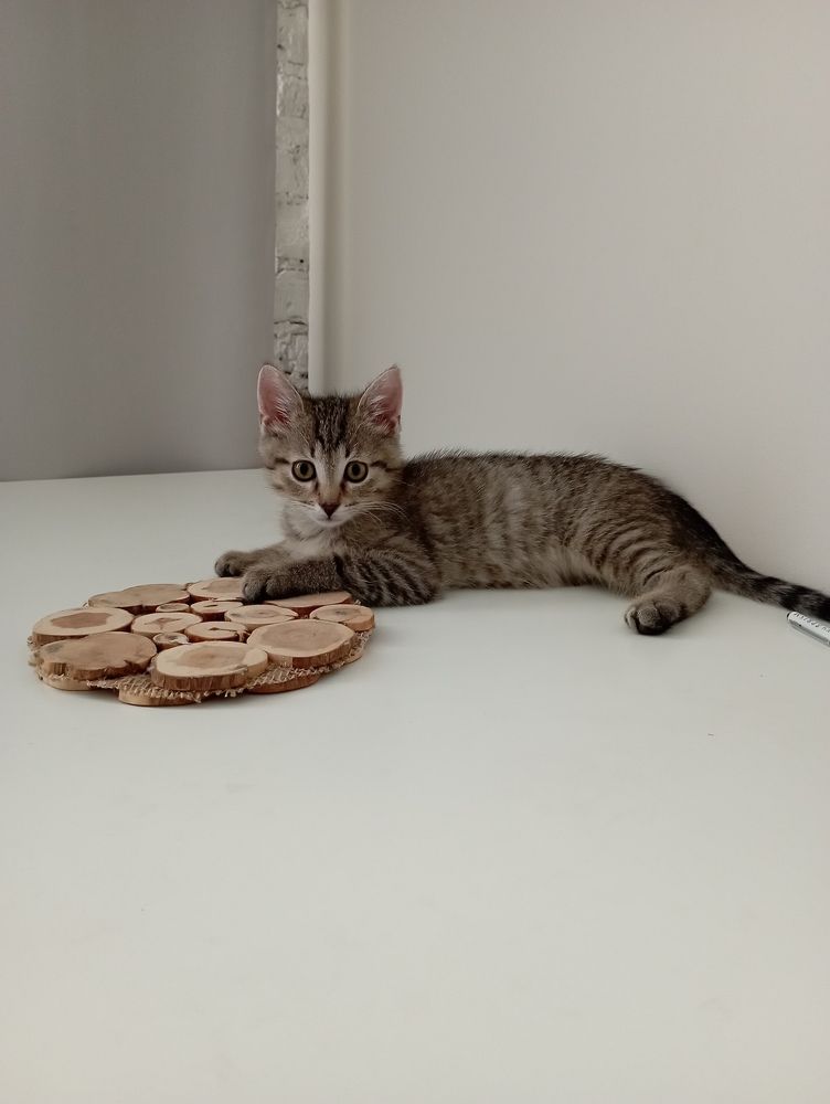 Фотография автора Natalia Khodina