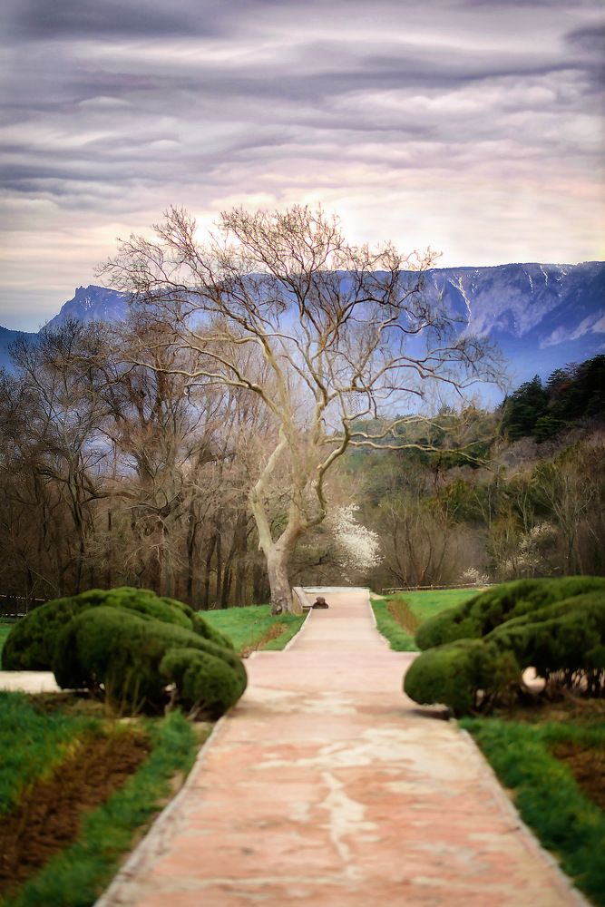 Photograph by Наталия Шляпина