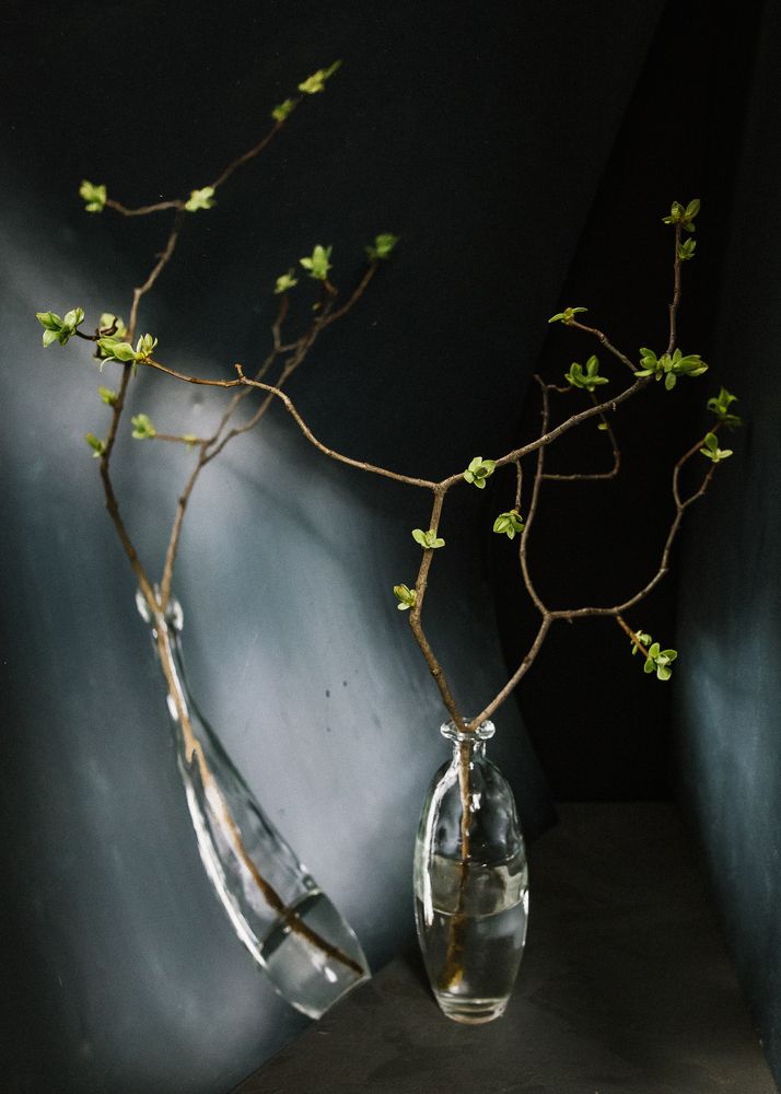 Photograph by Сергеева Марина