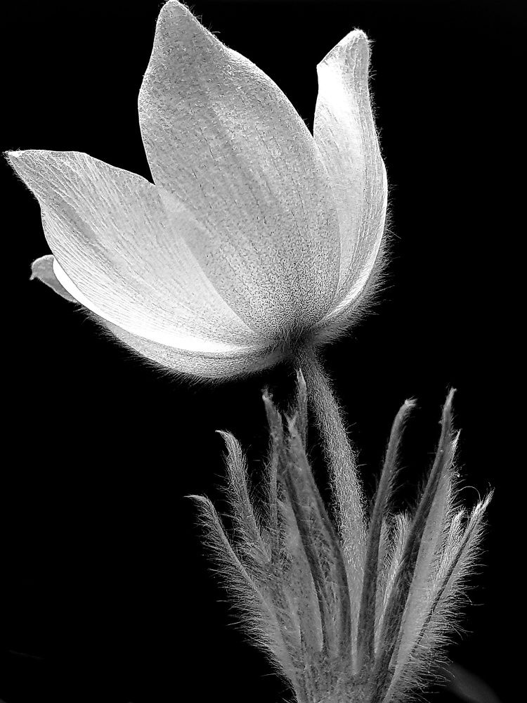 Photograph by Ольга Мандрыкина