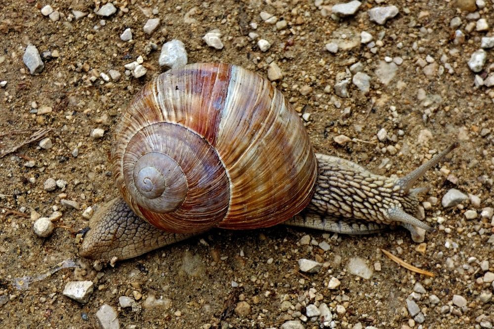 Photograph by backareva irina