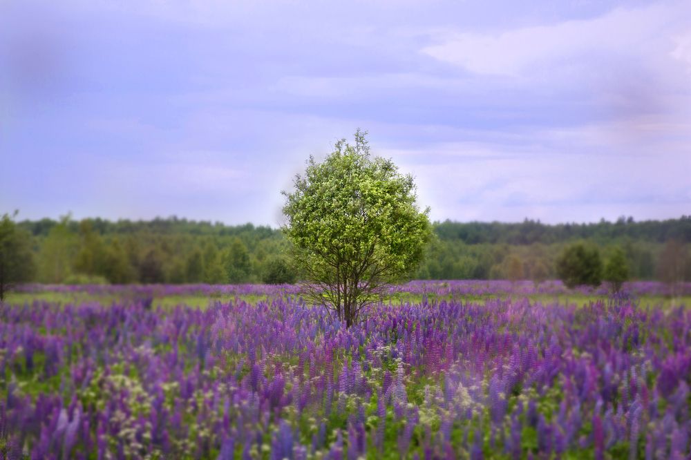 Photograph by Наталья Кузьменко