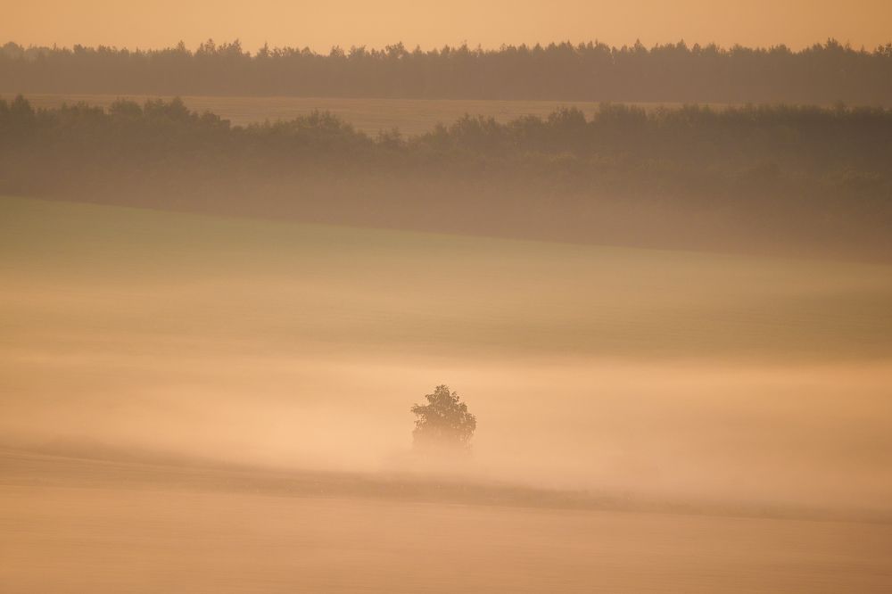 Photograph by Andrew Kuprin