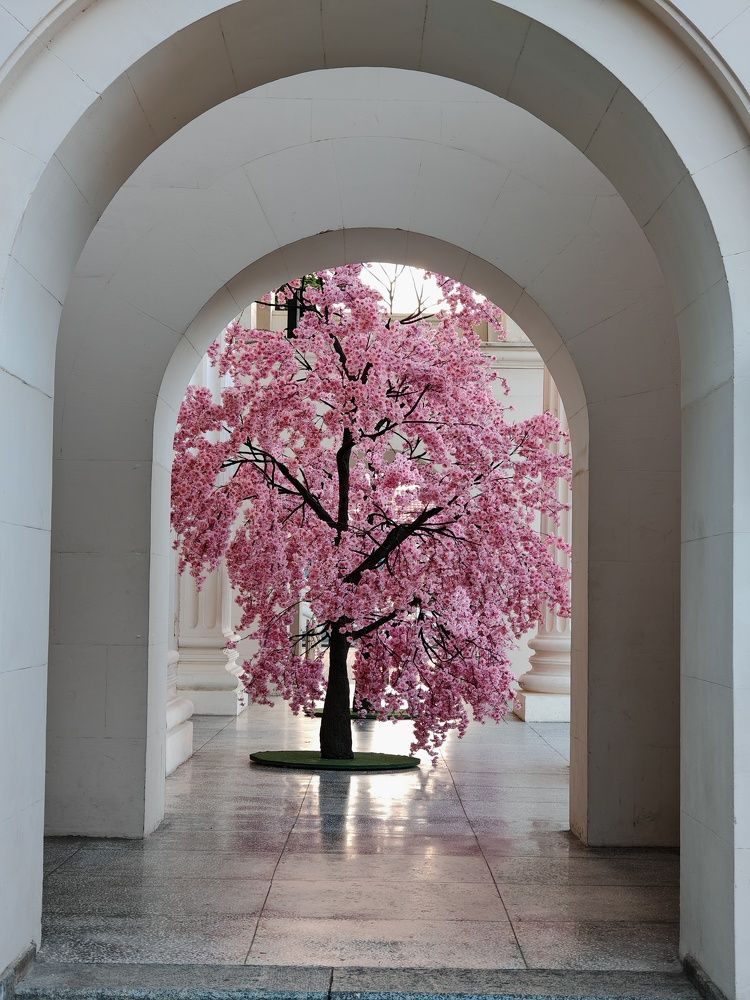 Photograph by Андрей Пучков