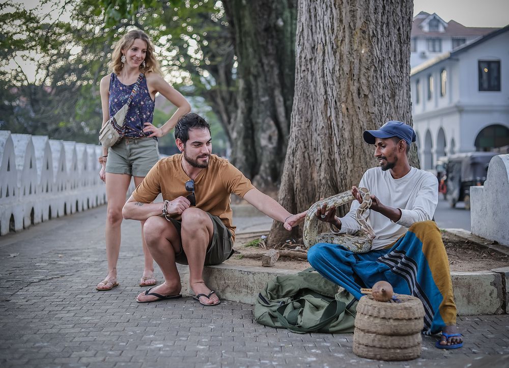 Фотография автора Manjula Perera