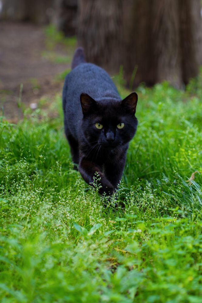 Photograph by Андрей Пучков