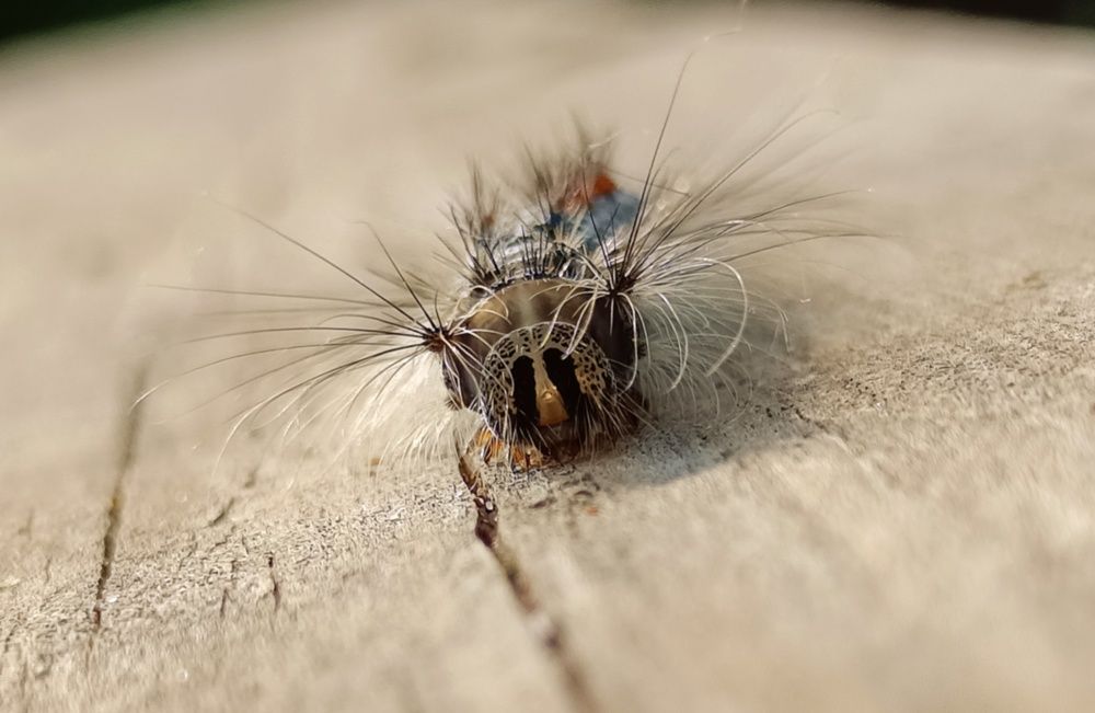 Фотография автора Ольга Кунакова