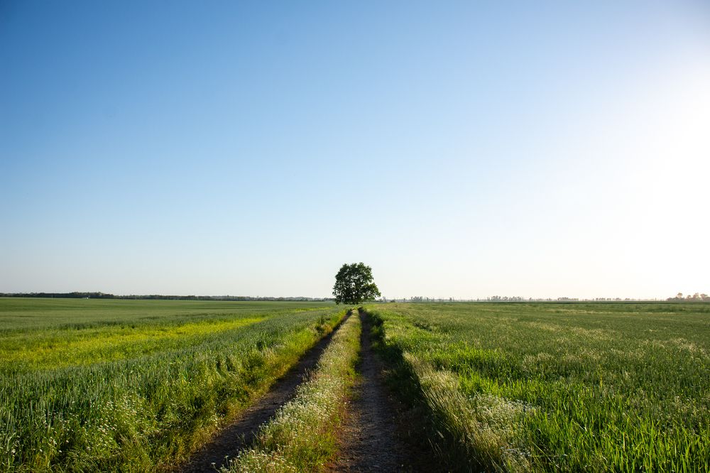 Photograph by Рыков Сергей