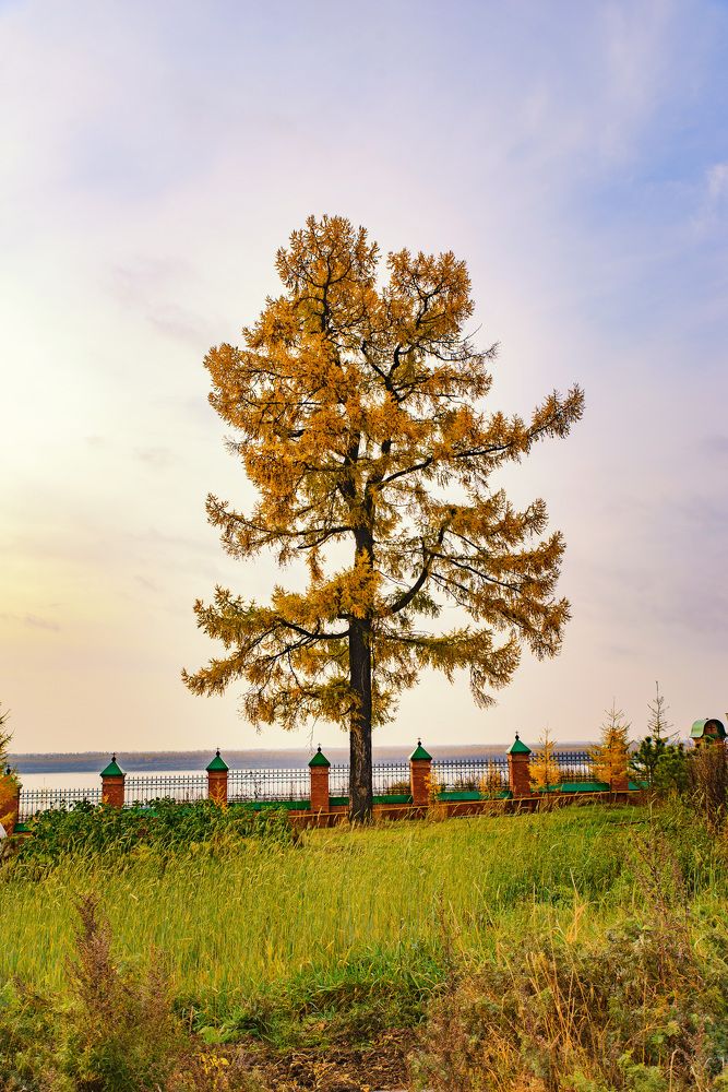 Photograph by Евгений Жуланов