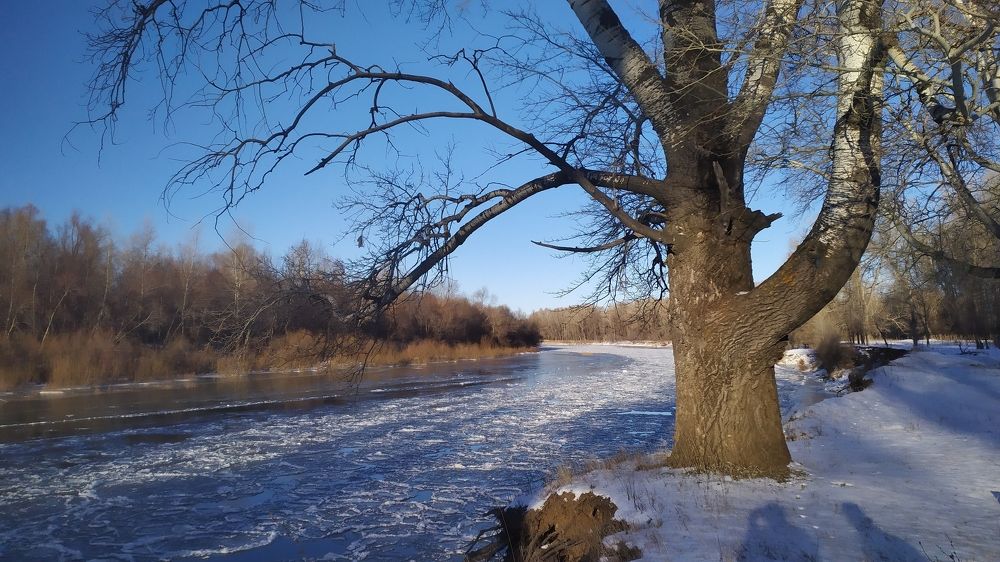 Photograph by Елена Смирнова