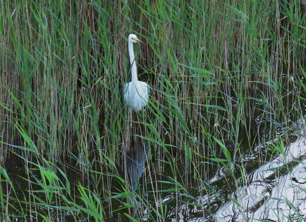 Photograph by Pjotr Alekseev