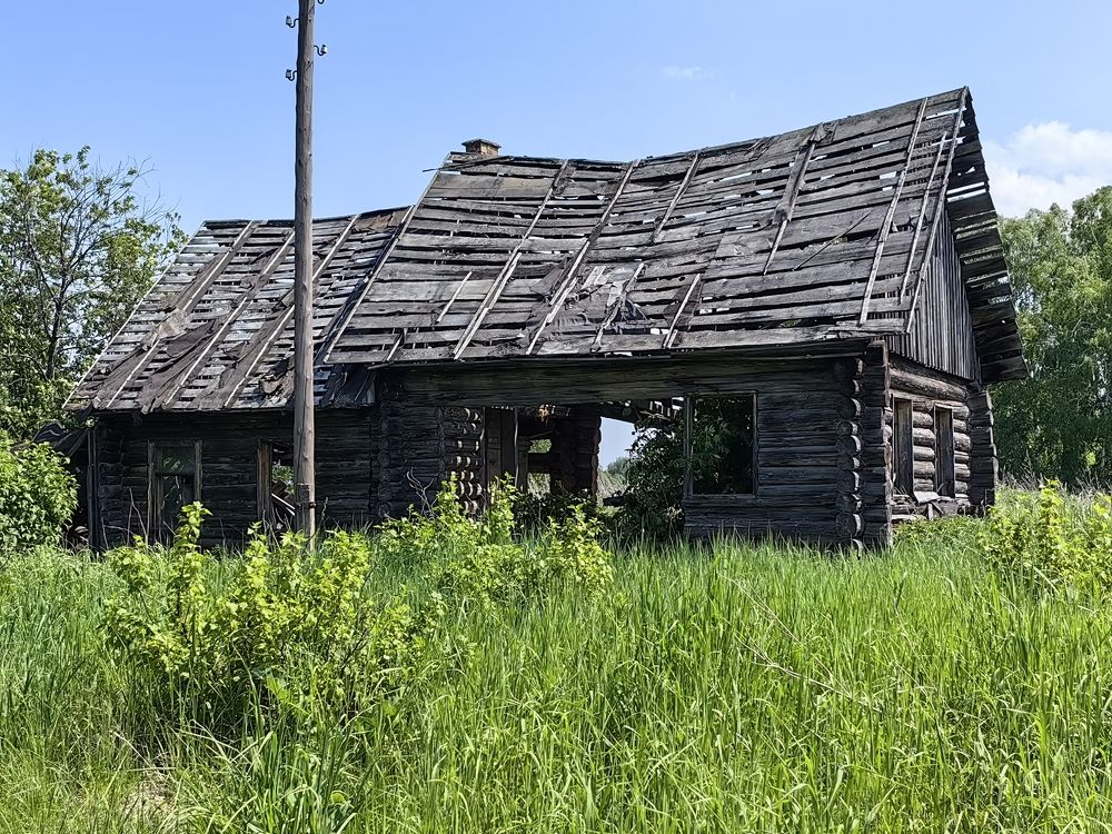 Photograph by Сергей Гриднев