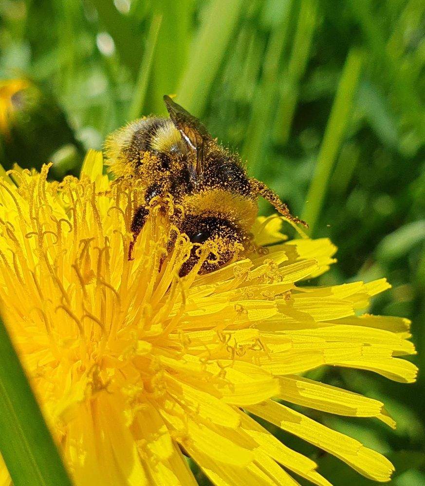 Photograph by Жанна Регор