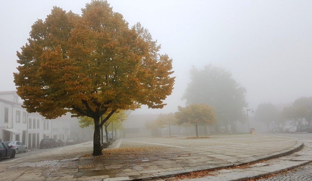 Photograph by Галина Горлицки