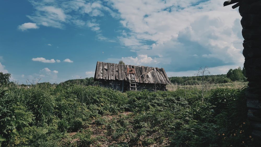 Photograph by Евгения Гриднева