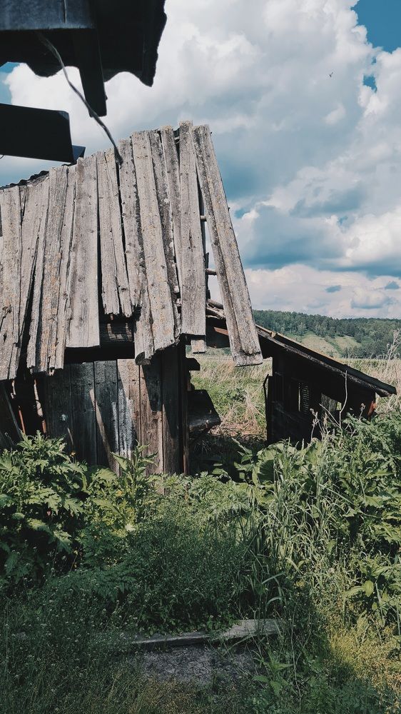Photograph by Евгения Гриднева