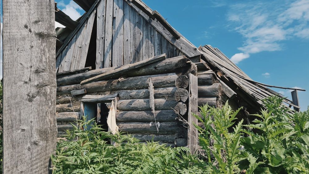 Photograph by Евгения Гриднева