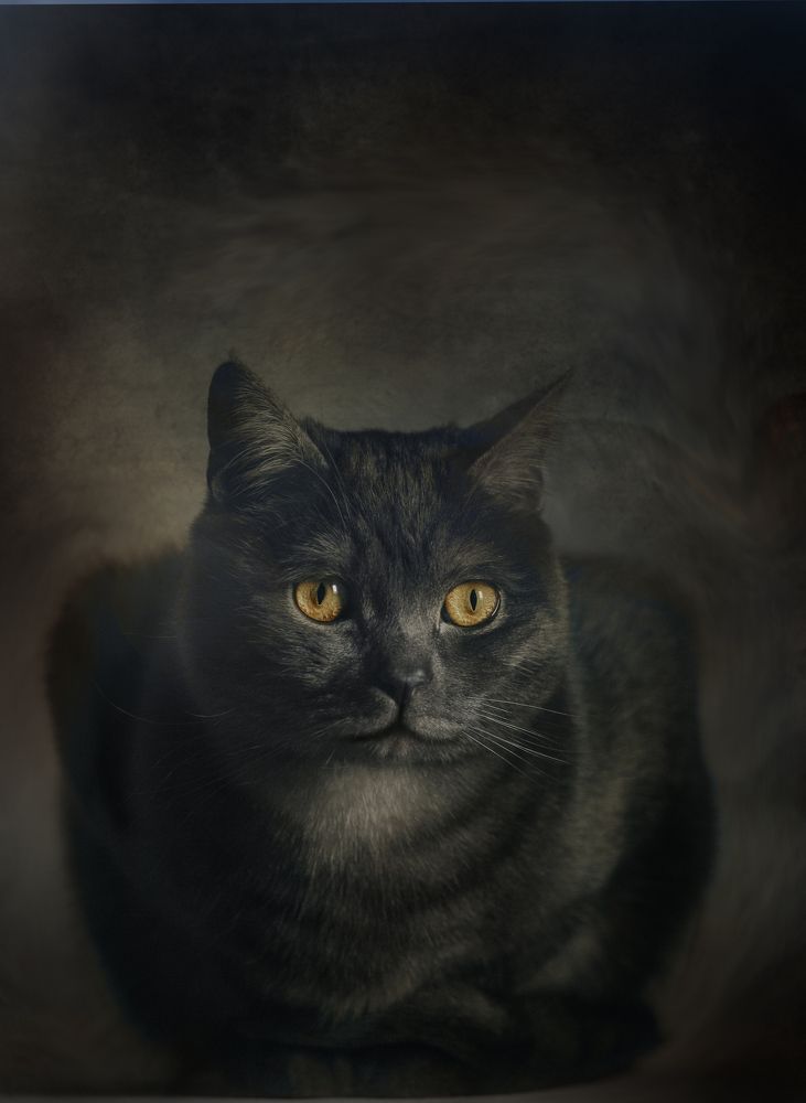 Photograph by наталья жданюк