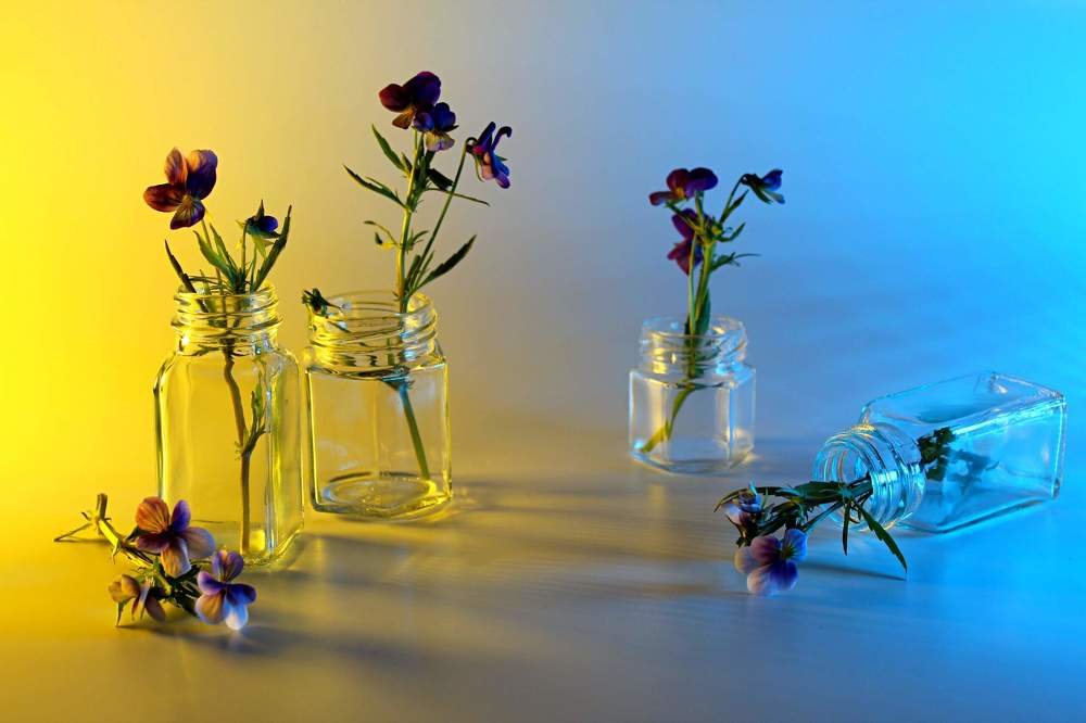 Photograph by Людмила Таерова