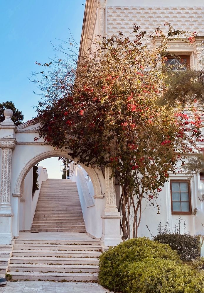 Photograph by Елена