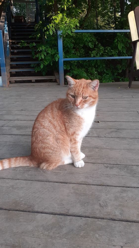 Photograph by Елена Лещева