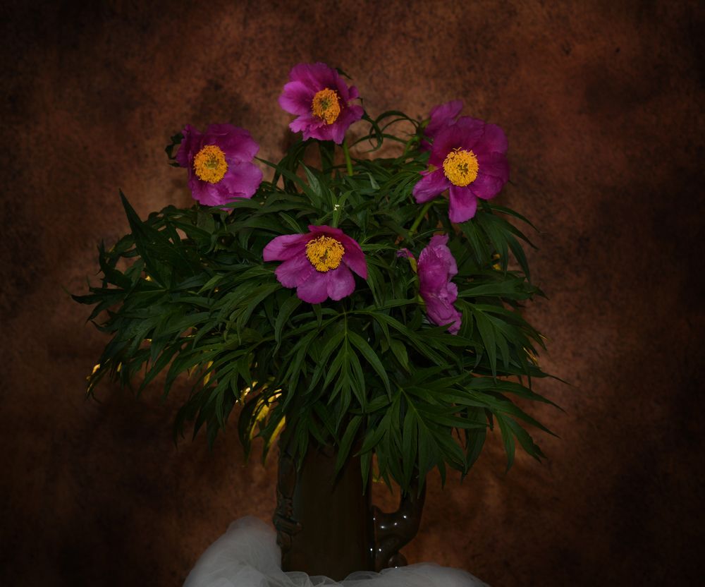 Photograph by Marina Ivanova