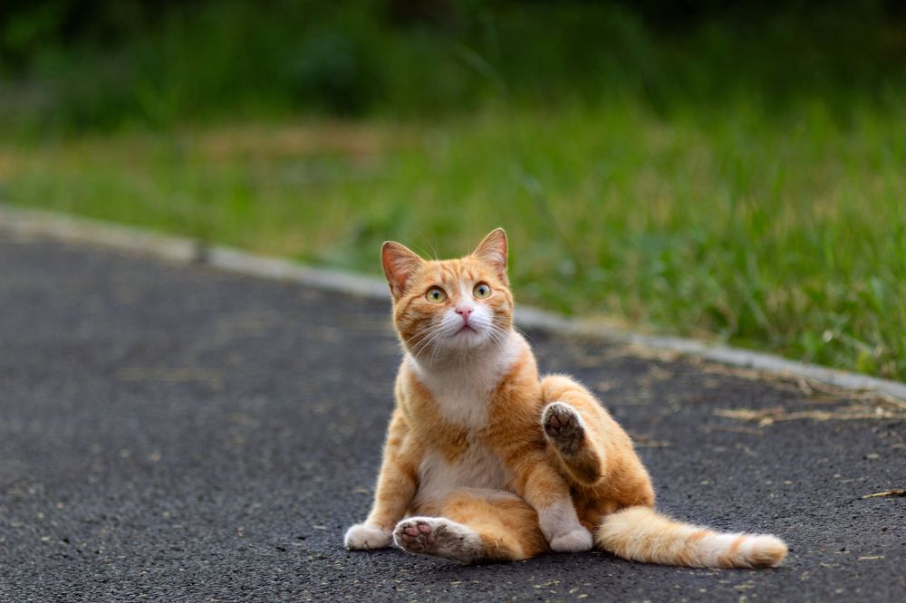 Photograph by Александр Канцур